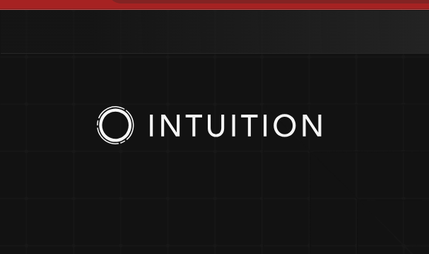 Intuition